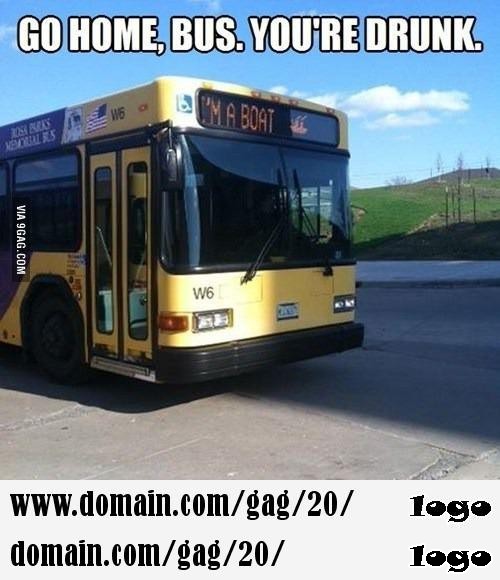 Go home bus you are drunk